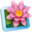LilyView